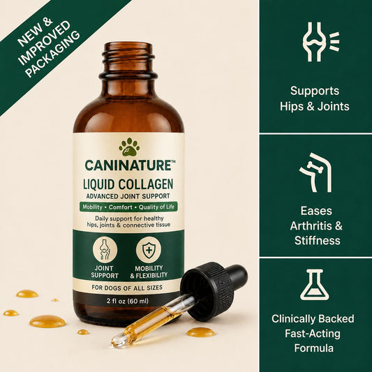 Premium liquid collagen