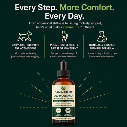 Premium liquid collagen
