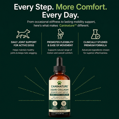 Premium liquid collagen