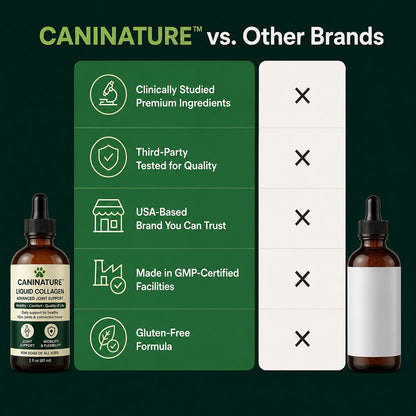 Premium liquid collagen