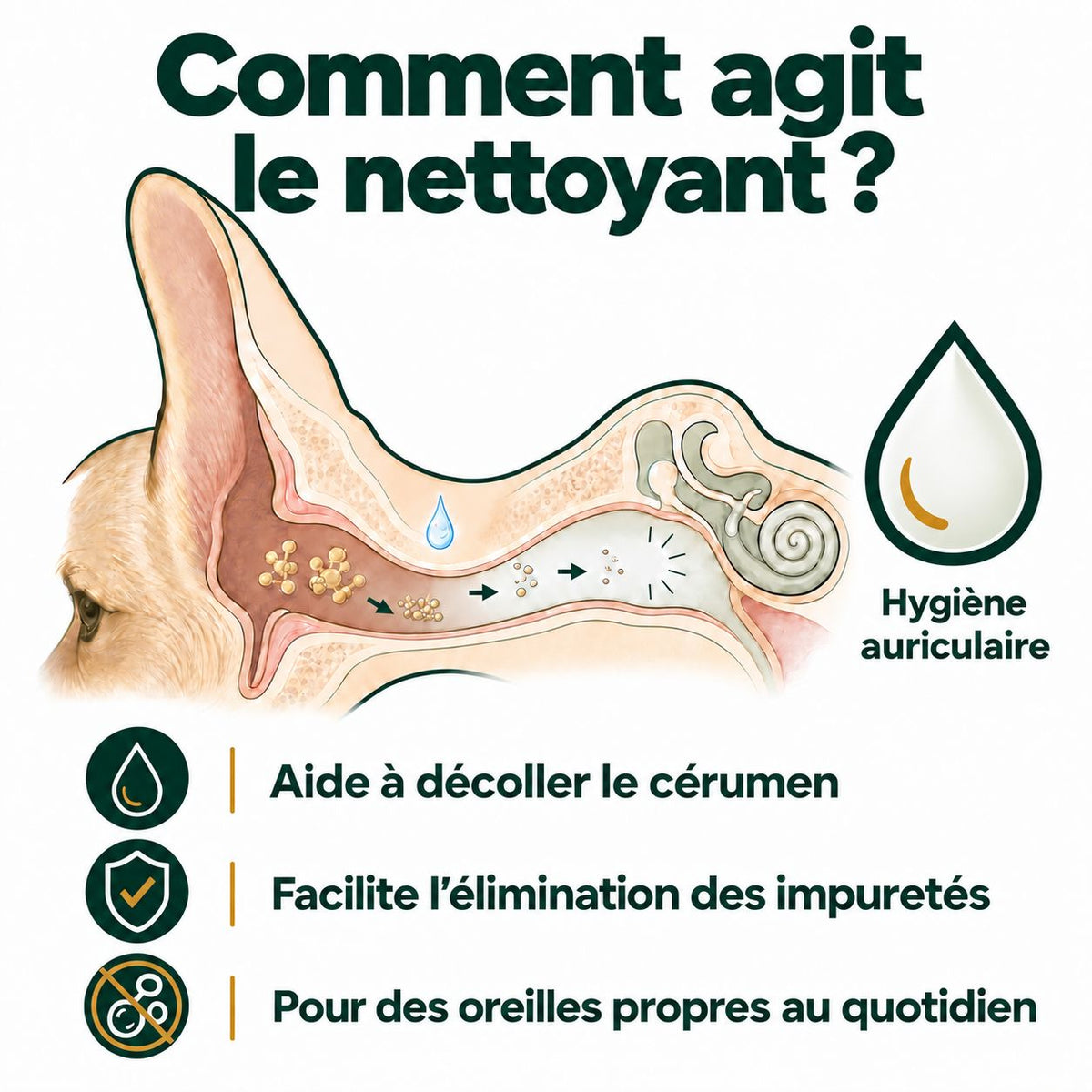 Nettoyage du cérumen et des impuretés