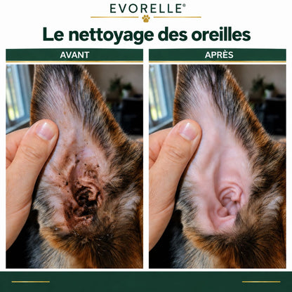 Illustration du nettoyage des oreilles